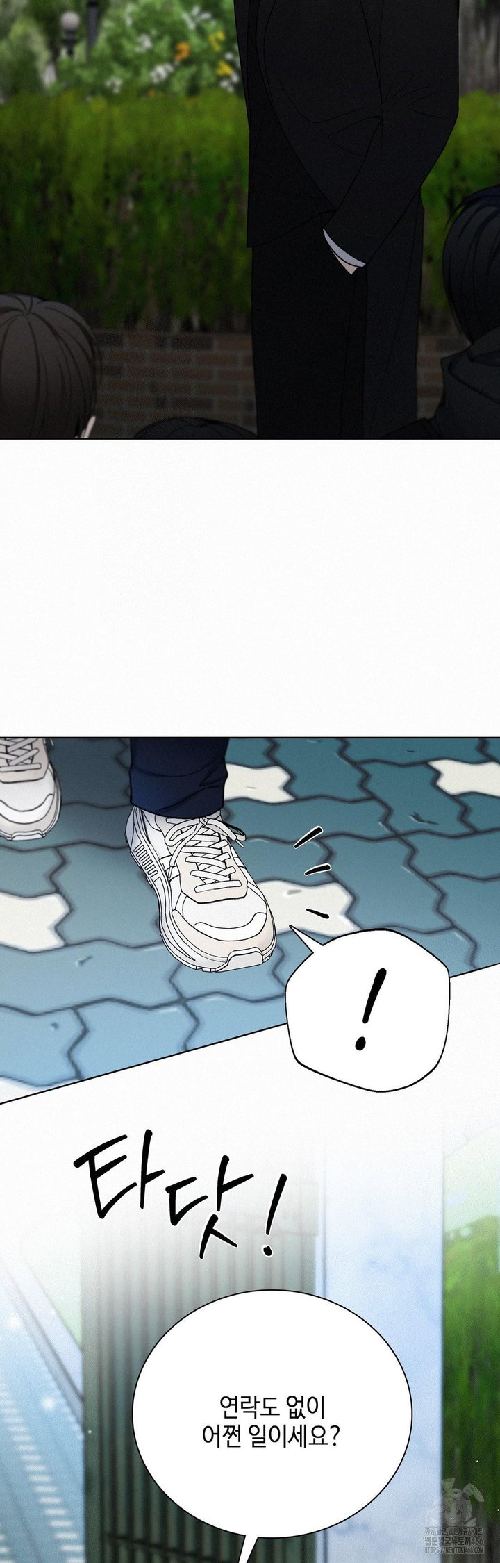 1734278095716pips67lff6o.jpg