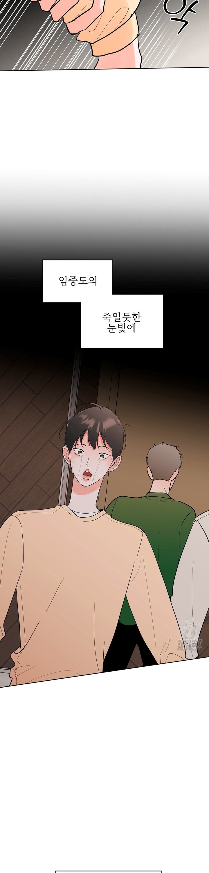 1739656330484y4frpph2bwh.jpg