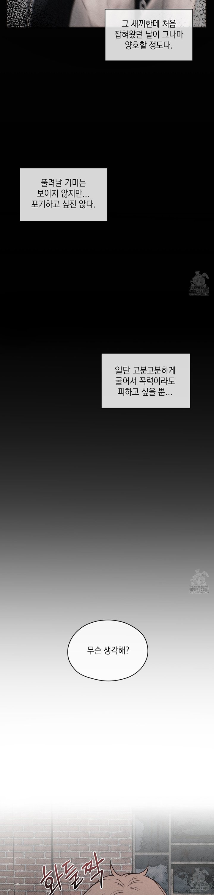 1740786780132ku9oncgnvo.jpg