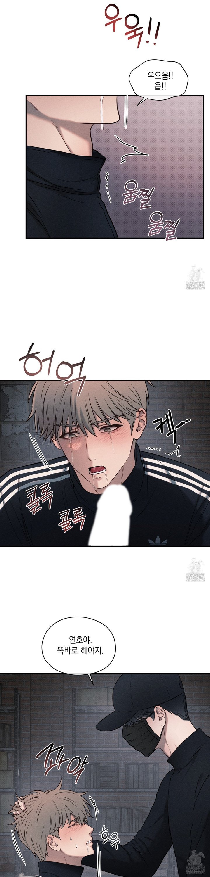 1740786781544nto1tvt5mfi.jpg