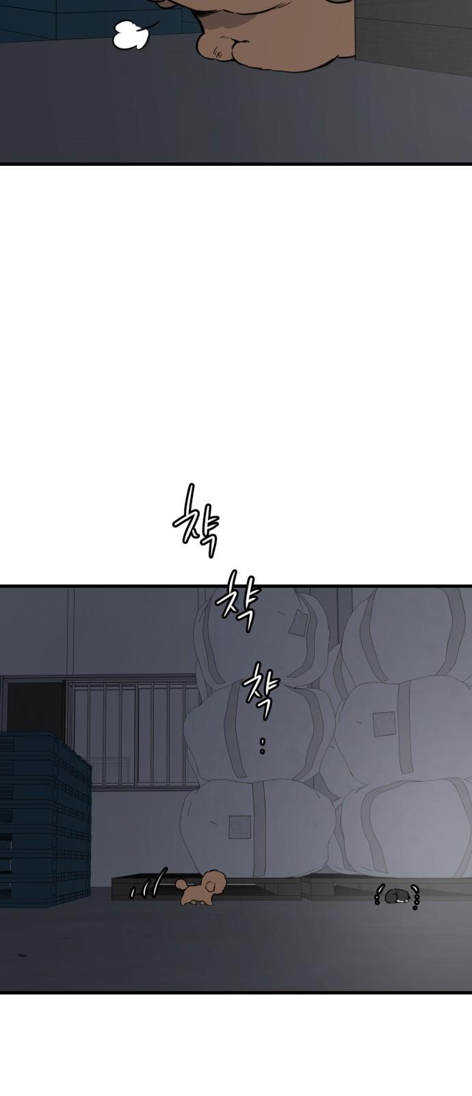 17433766190259jmz9s5he9d.jpg