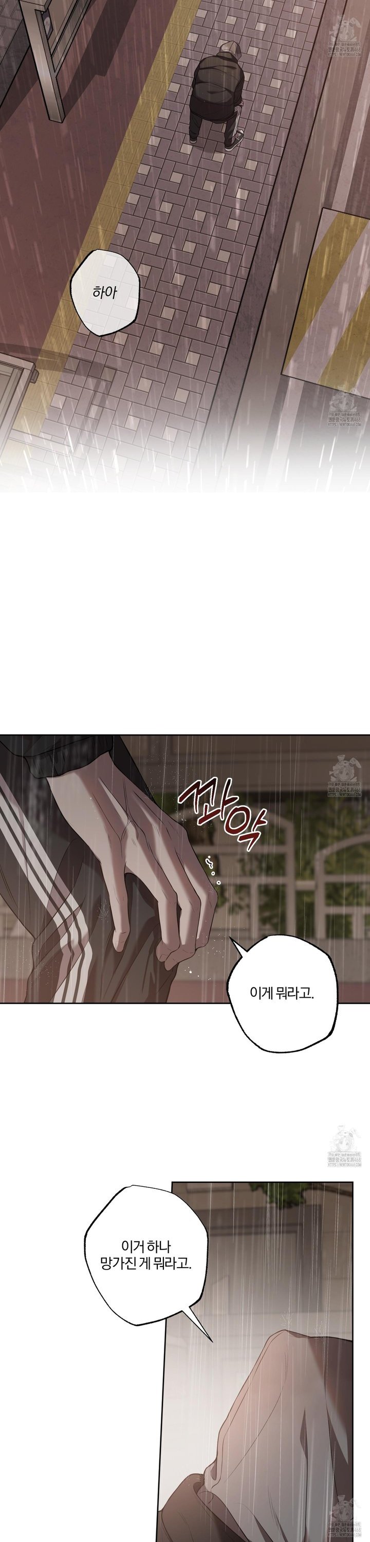 1743499445898voqujm0k80h.jpg